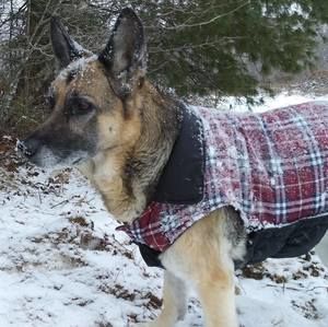 Meet your Posher, Christie